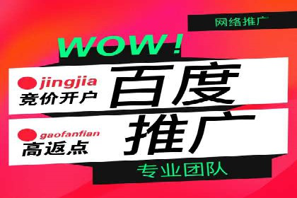 竞价SEM托管案例：精准营销的利器